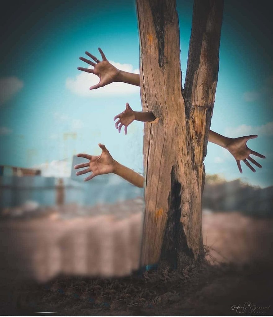 Eerie surreal tree with human hands emerging against soft blue sky fantasy background wallpaper