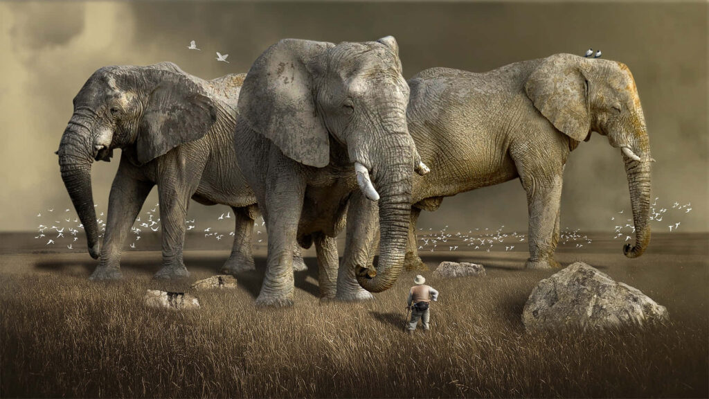 Surreal Wallpaper: Majestic Elephants in Vast Open Field