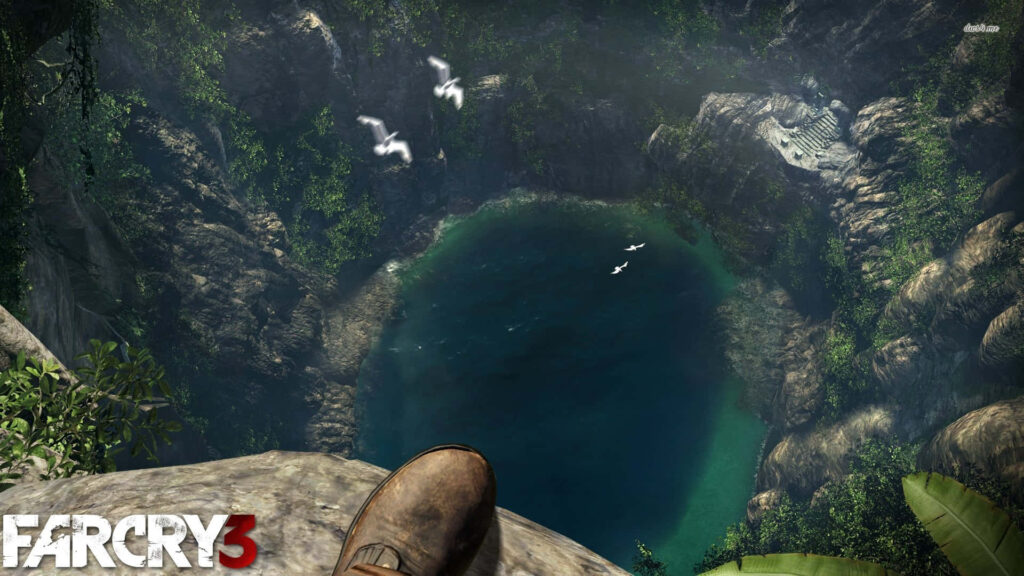 Tropical Island Cliff View with Lagoon, Jungle Foliage, and Birds - Far Cry 3 Gaming Experience Wallpaper