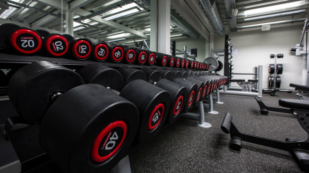 Organized gym with neat row of dumbbells and modern fitness equipment Wallpaper