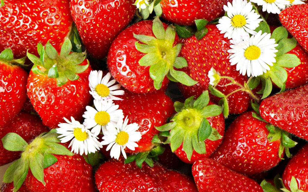 Blooming Berries: A Floral Strawberry Desktop Wallpaper