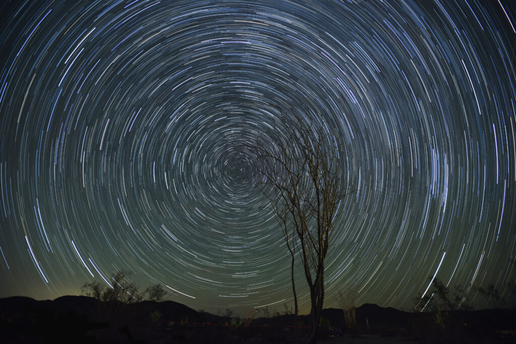 Long exposure star trail wallpaper with swirling stars and silhouetted leafless tree foreground