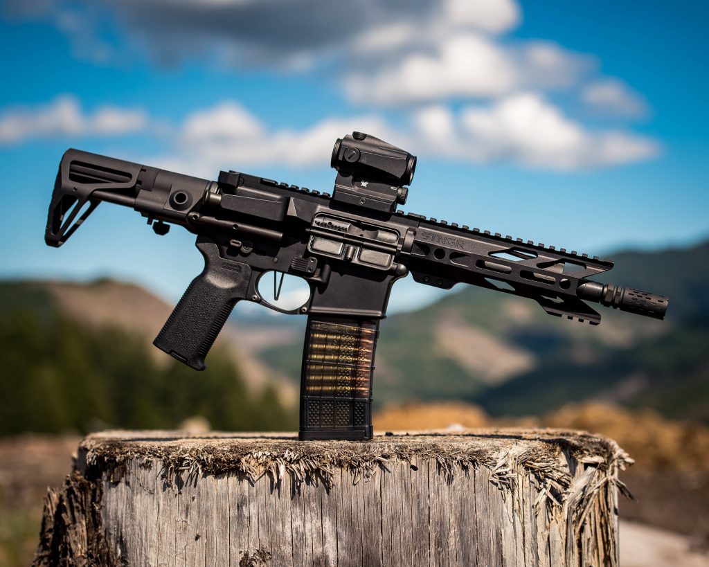 Tactical STNGR rifle with Vortex red dot on tree stump mountain backdrop gun photography wallpaper