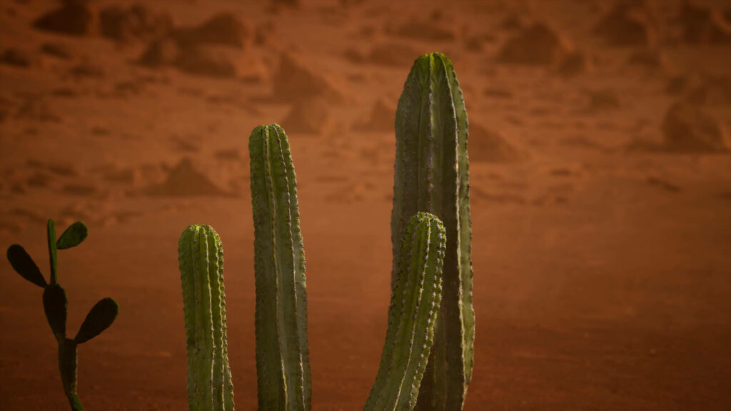 Tall green cacti cluster in Arizona desert with warm earthy tones serene desert landscape wallpaper