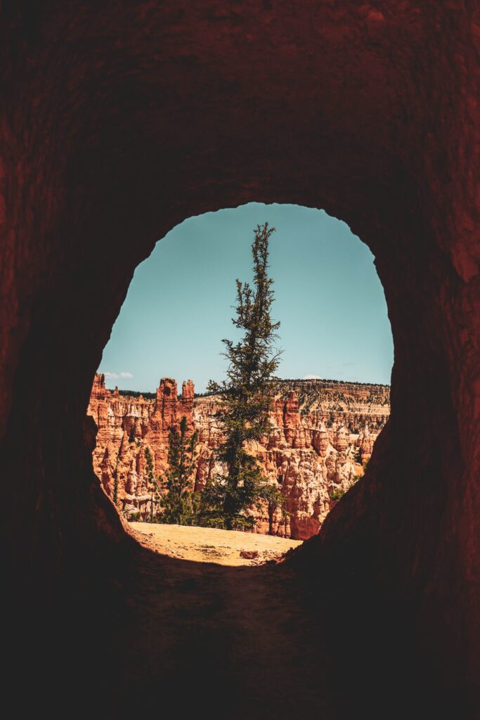 Tall tree framed by cave entrance overlooking rugged canyon with red rocks and clear blue sky Wallpaper