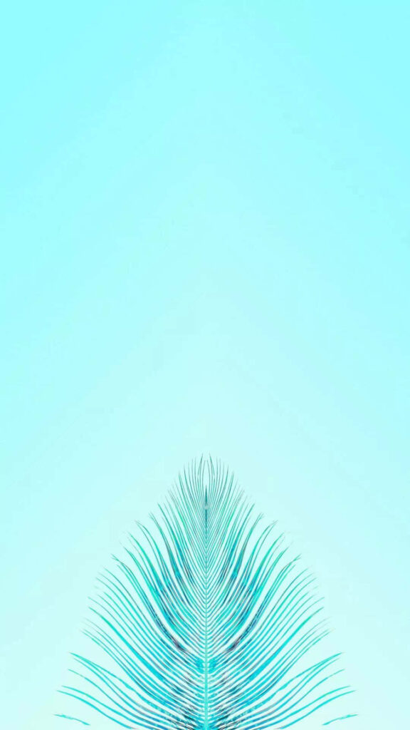 Delicate Teal Feather Minimalist Wallpaper for iPhone - Soothing Background
