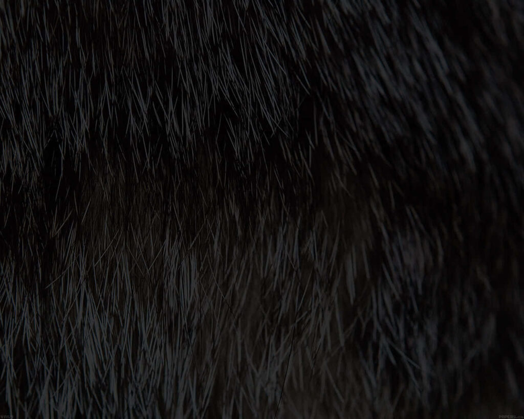 Intricate Textured Black Hair Closeup - Elegant Wallpaper Background