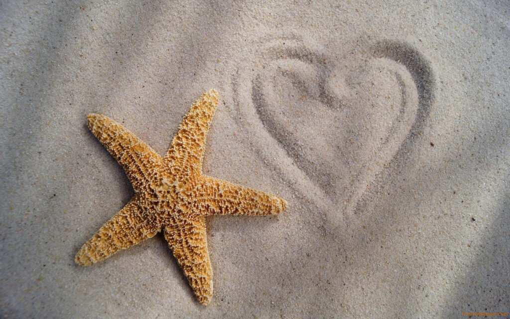 Textured Brown Starfish and Heart Shape on Soft Sandy Wallpaper