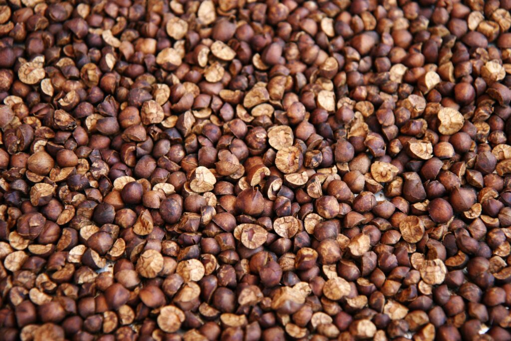 Textured Wallpaper Background with Close-Up Buckwheat Grains