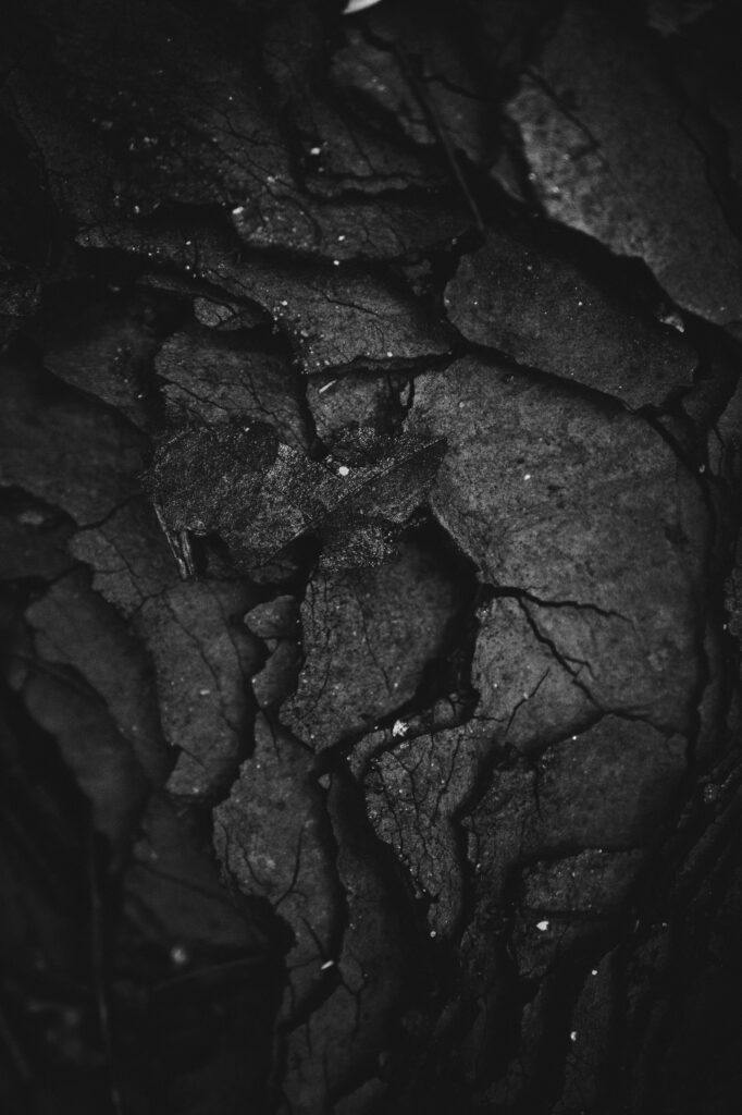 Textured Dark Wallpaper: Cracked Surface with Leaf Patterns