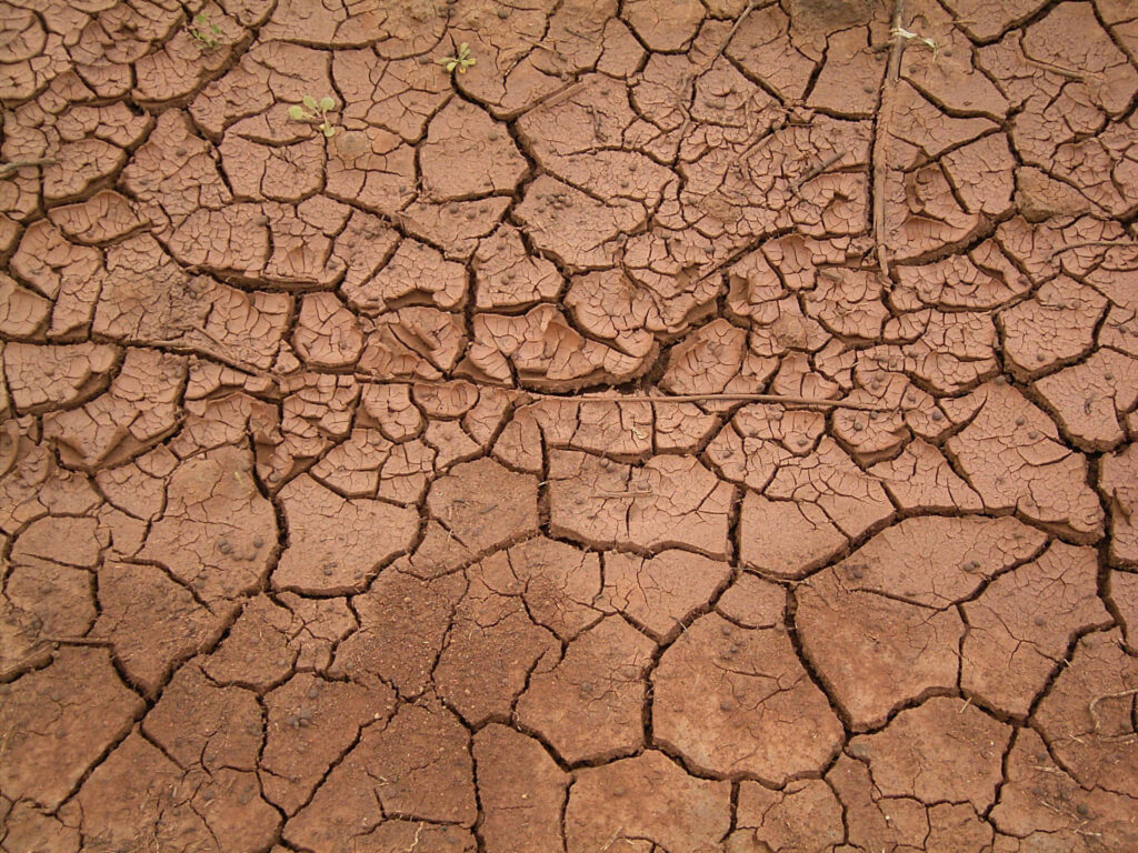 Textured Dried Mud Cracks: Natural Earthy Wallpaper Background