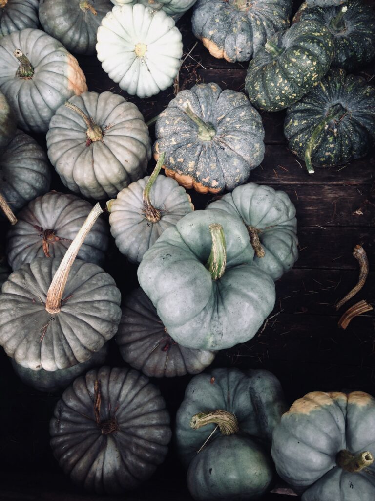 Textured Gray and Greenish Pumpkin Wallpaper Background