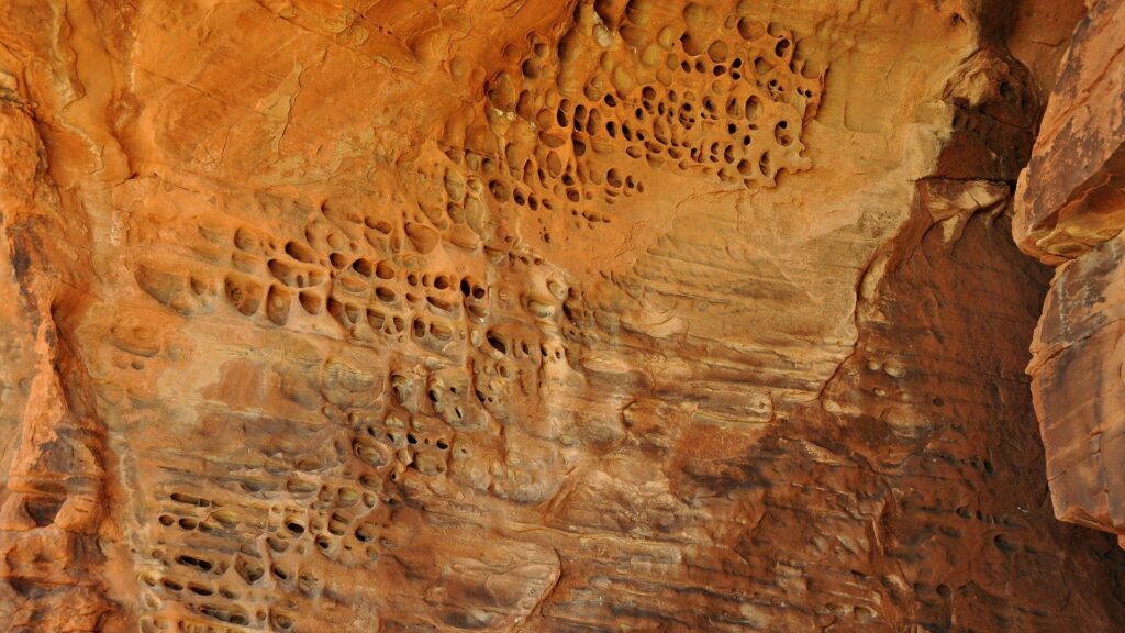Orange brown cave wall with textured rock and natural erosion holes organic geological pattern Wallpaper