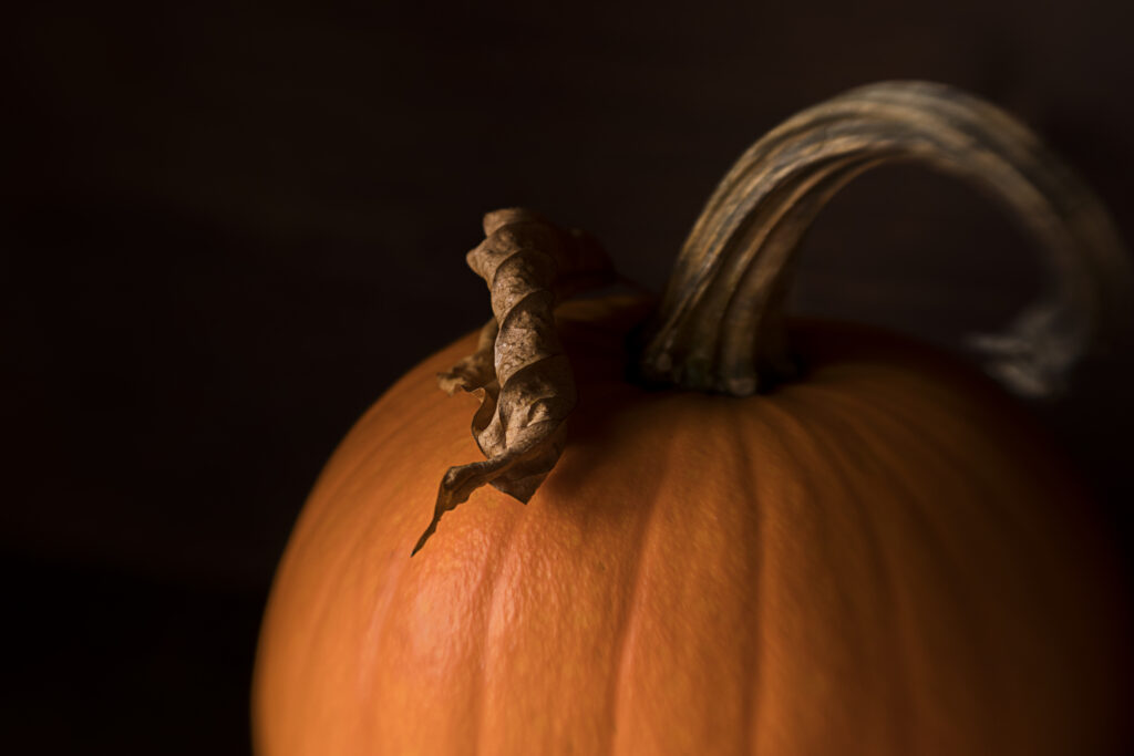 Close-Up Orange Pumpkin Wallpaper with Textured Leaf - Dark Mood