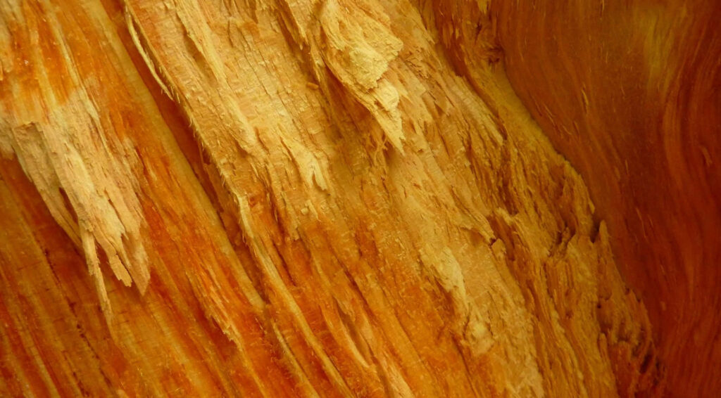 Textured Orange Wood Bark Wallpaper: Warm and Inviting Background