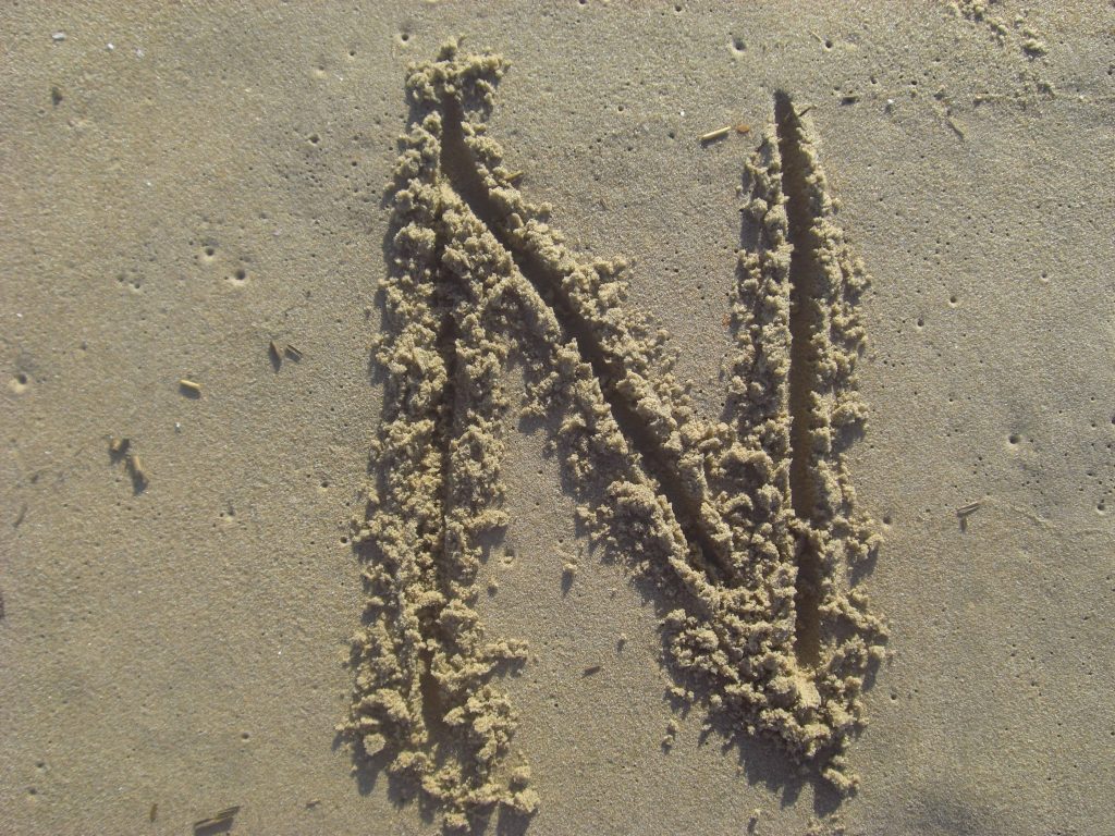 Textured letter N traced in damp sand with soft sunlight beach wallpaper background