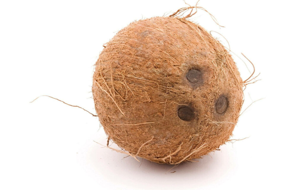 Natural Brown Coconut Wallpaper with Textured Fibers on White Background