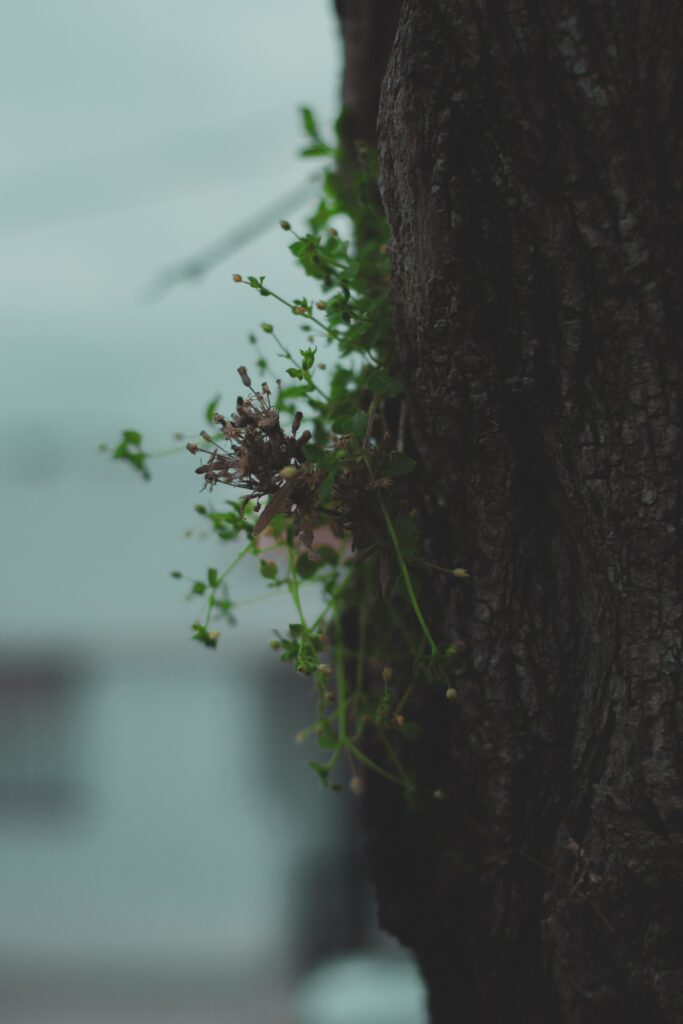 Textured Tree Bark Wallpaper with Green Plants and Flowers