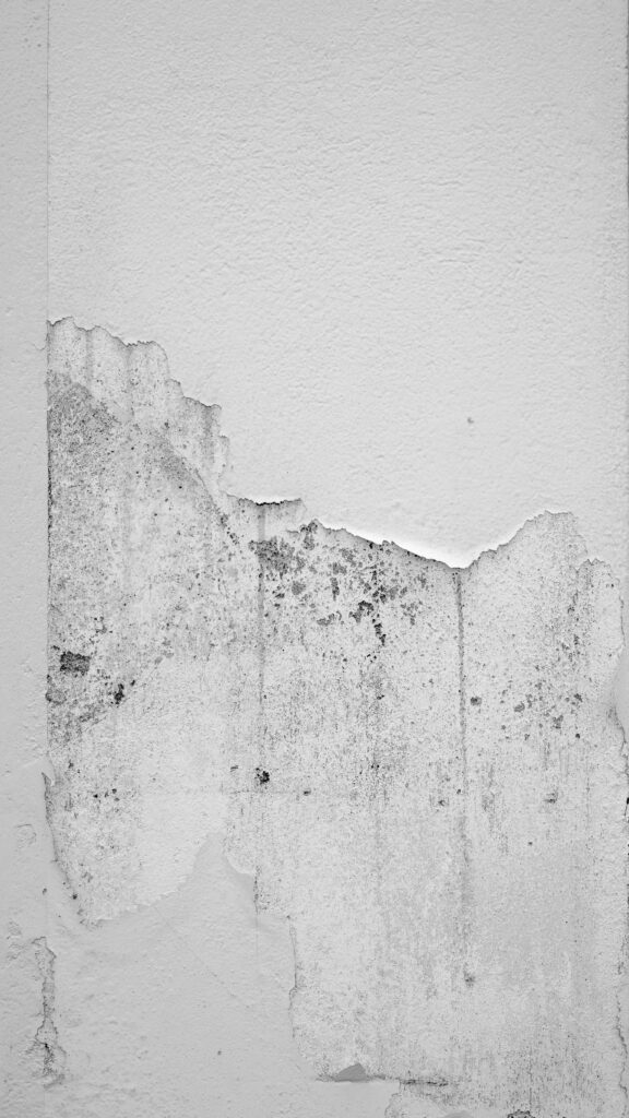 Textured White Wall Wallpaper: Rustic Aged Peel Paint Background
