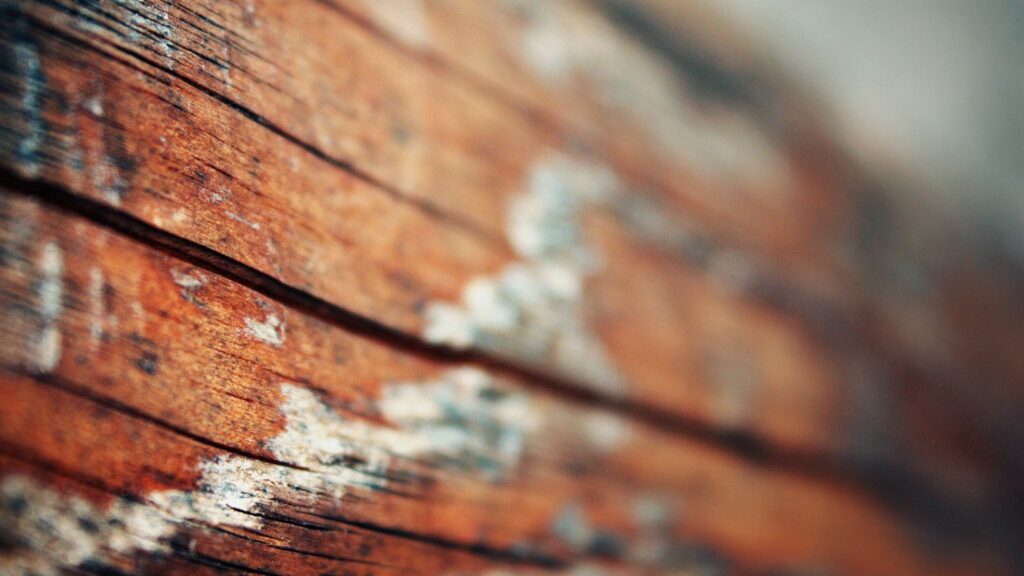 Textured Wooden Surface Wallpaper: Natural Grains & Soft Lighting