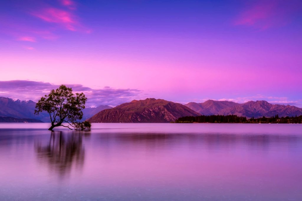 That Wanaka Tree at sunset reflecting in calm Lake Wanaka New Zealand with mountain backdrop Wallpaper