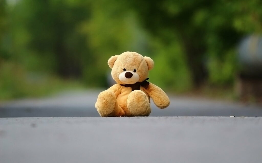 The Adorable Adventures of an Orange Teddy Bear: A Whimsical Road Trip Wallpaper
