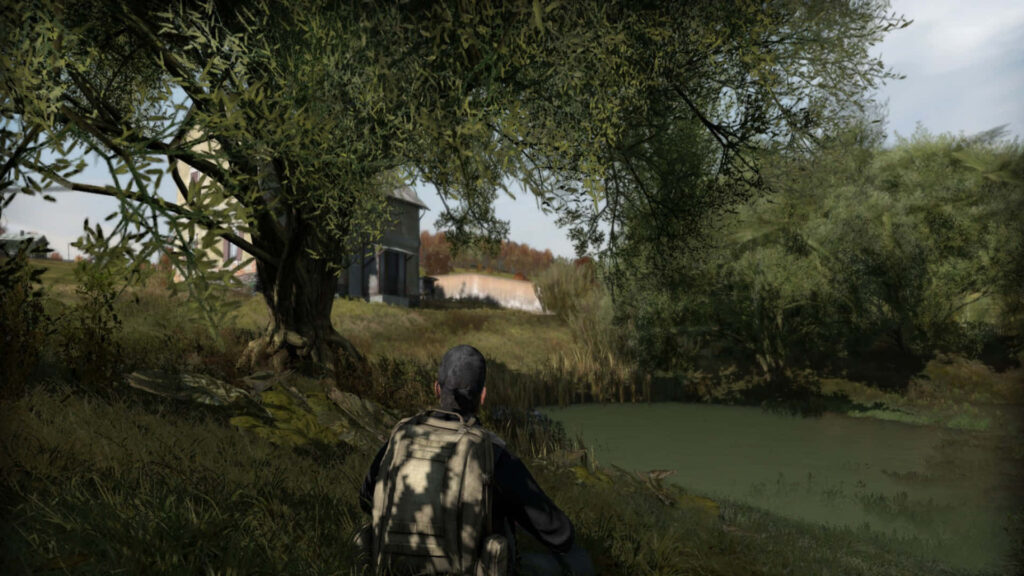 Mysterious Encounters: Dayz Epoch Mod Unveils Immersive Swamp Setting with Protagonist Wallpaper