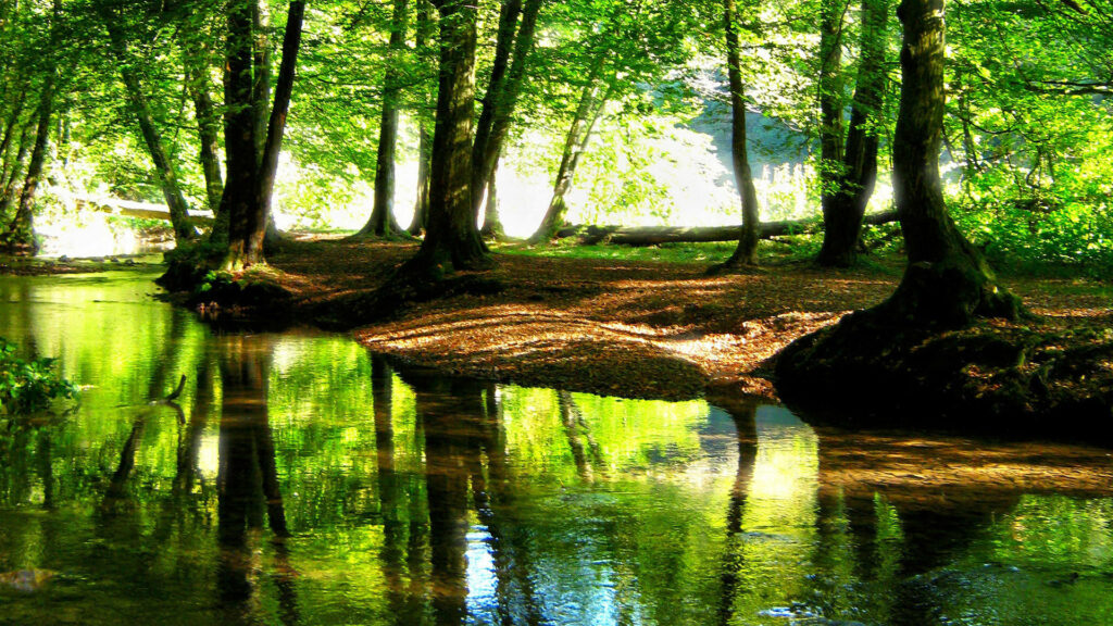 Nature's Symphony: A Vibrant HD Landscape of the Green Forest River Stream. Wallpaper