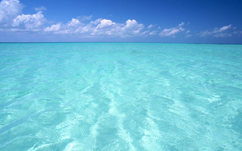 The Cyan Horizon: Where the Ocean Meets the Blue Sky Wallpaper