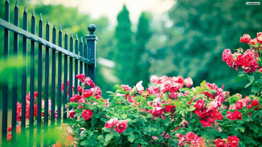Enchanting Gateway to Blooming Paradise: HD Wallpaper with a Serene Garden, Vibrant Flowers, and Breathtaking Beauty