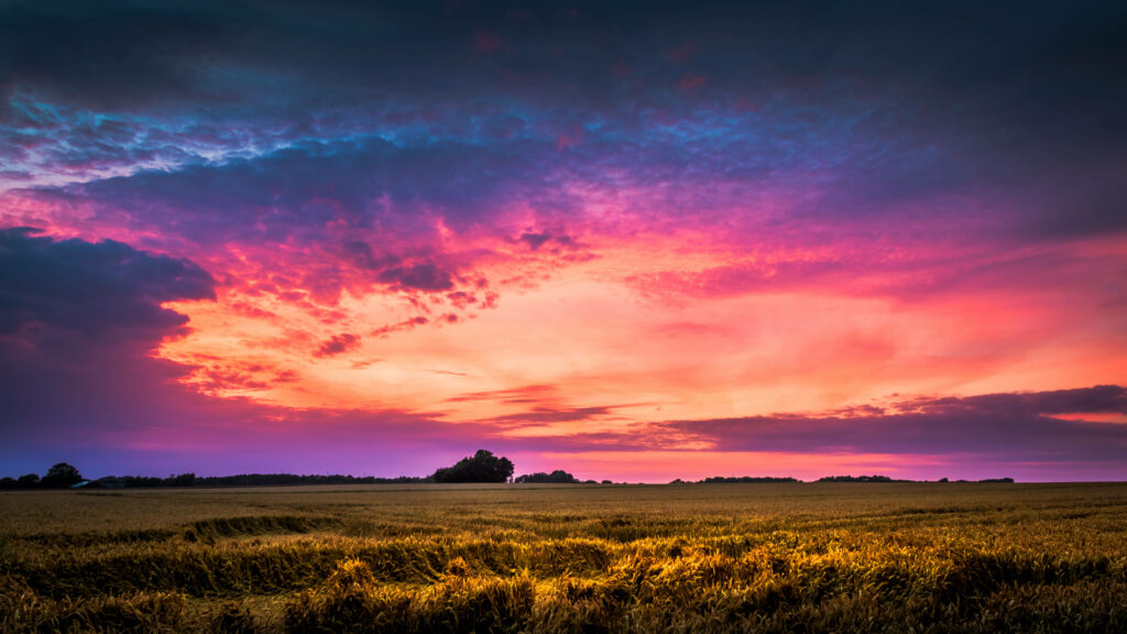 A Mesmerizing Tapestry of Vibrant Sky Shades: Aesthetic Grass Field Background with Lush Violet, Orange, and Blue Hues, Interspersed with Dreamy Clusters of Clouds Wallpaper