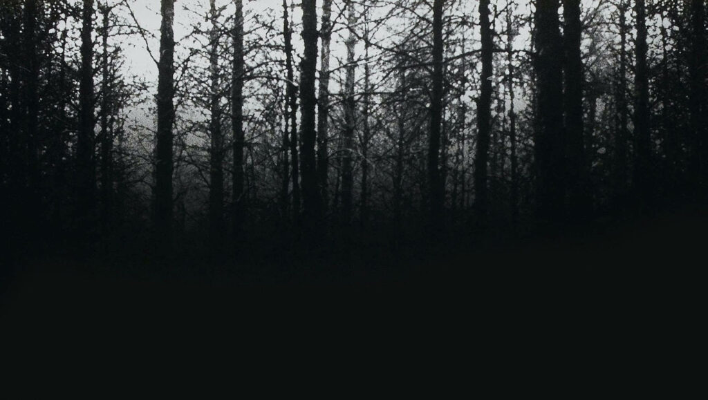 The Enchanted Woods: A Haunting Tale Unveiled in the Eerie Movie Poster of 'The Blair Witch Project' Wallpaper