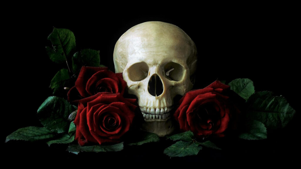 Eerie Elegance: Mesmerizing HD Skull Adorned with Vibrant Red Roses in a Dark Background Wallpaper