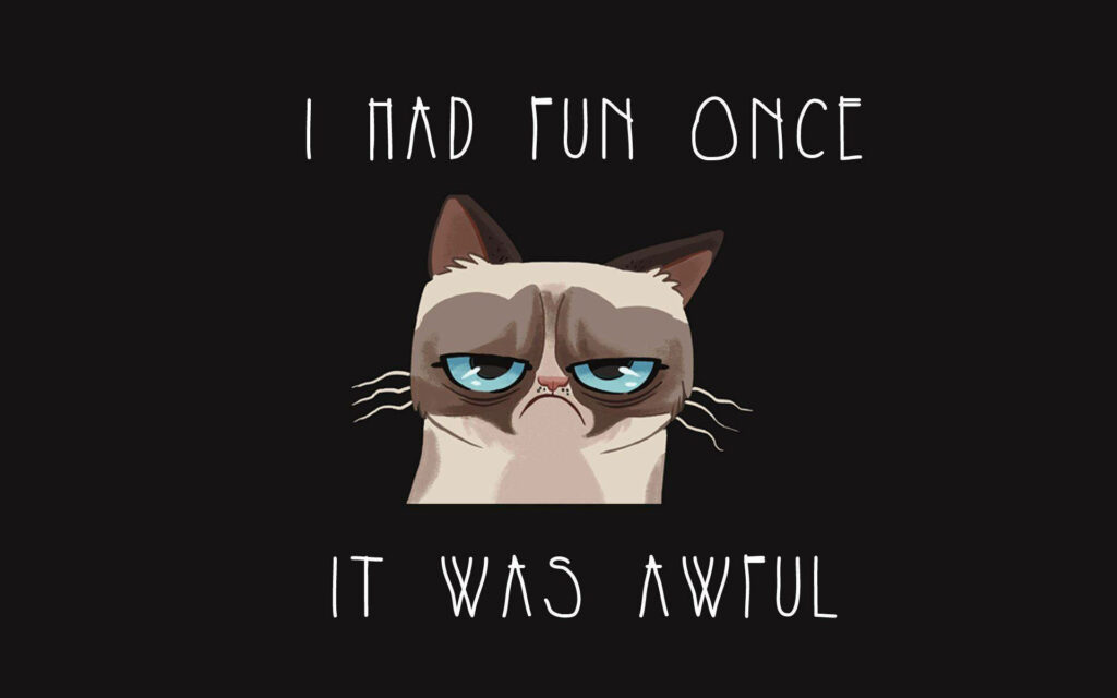 The Grumpy Cat's Hilarious Encounter with an 'Awfully Fun' Moment - A Comic Meme Twist! Wallpaper