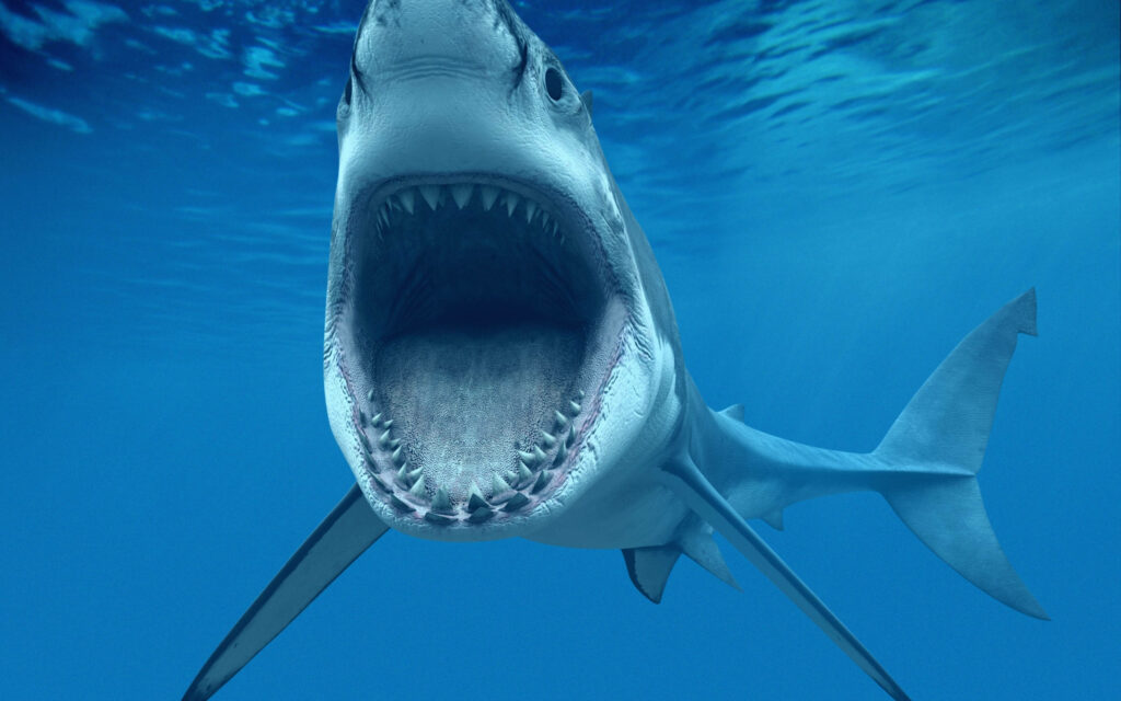 Jaws of the Deep: A Stunning Shark Wallpaper