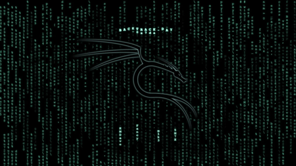 Cryptic Code and Kali Linux: A Cool Hacker Wallpaper in Black and White Outline