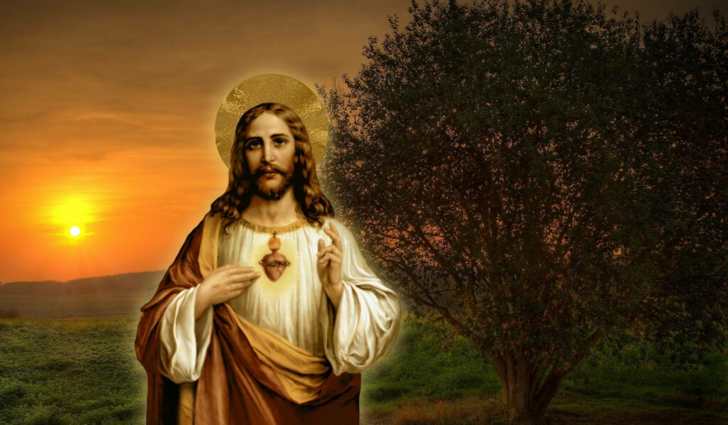 The Savior in Solemn Prayer: Sacred Heart Of Jesus In Gethsemane Amidst Olive Trees Wallpaper