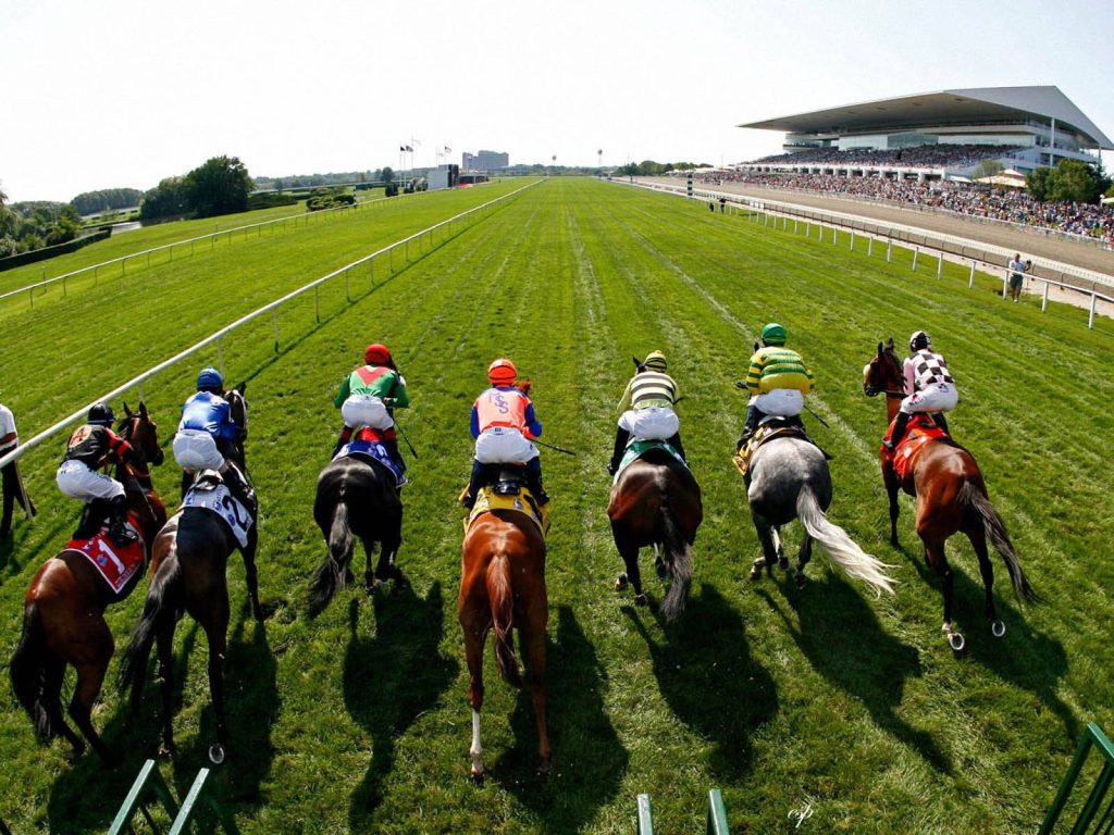 High-angle shot of thoroughbred horse racing with jockeys in vibrant silks on green turf Wallpaper