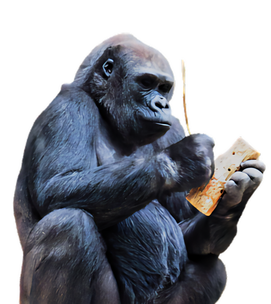 Gorilla Contemplating Object: Curious and Intelligent Wallpaper