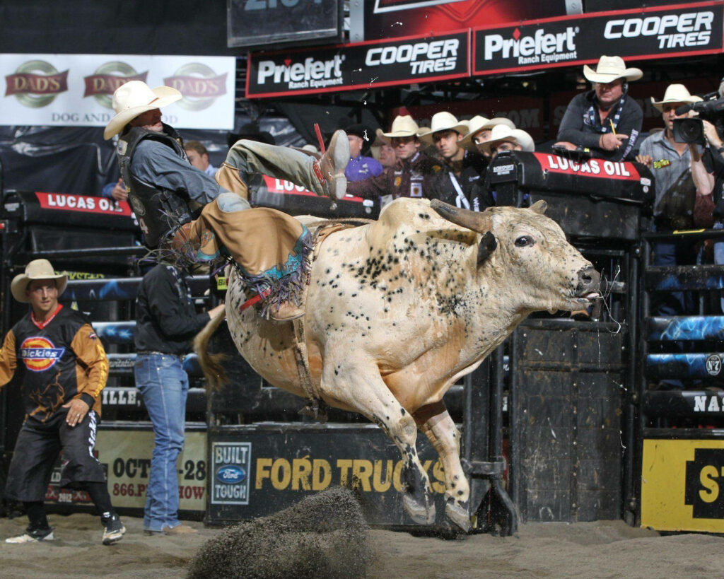 Cowboy riding powerful spotted bull mid-leap in lively rodeo arena with spectators background Wallpaper