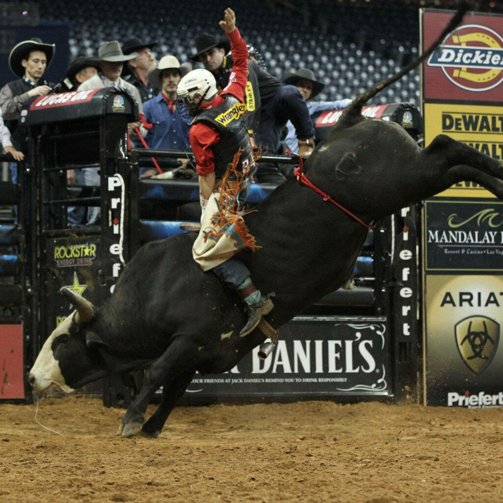 Professional bull rider clings to powerful bull mid-leap intense rodeo action western gear wallpaper