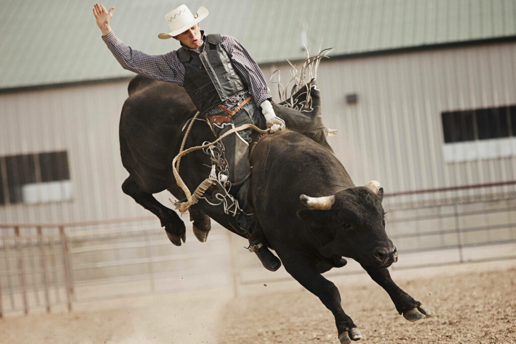Cowboy riding powerful bull mid-buck in dusty rodeo arena intense thrilling bull riding wallpaper