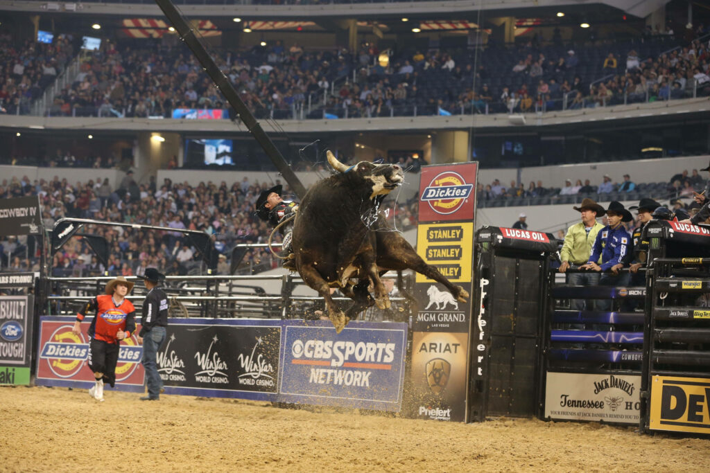 Cowboy riding a powerful bull in a packed rodeo arena with flying dust and intense action Wallpaper