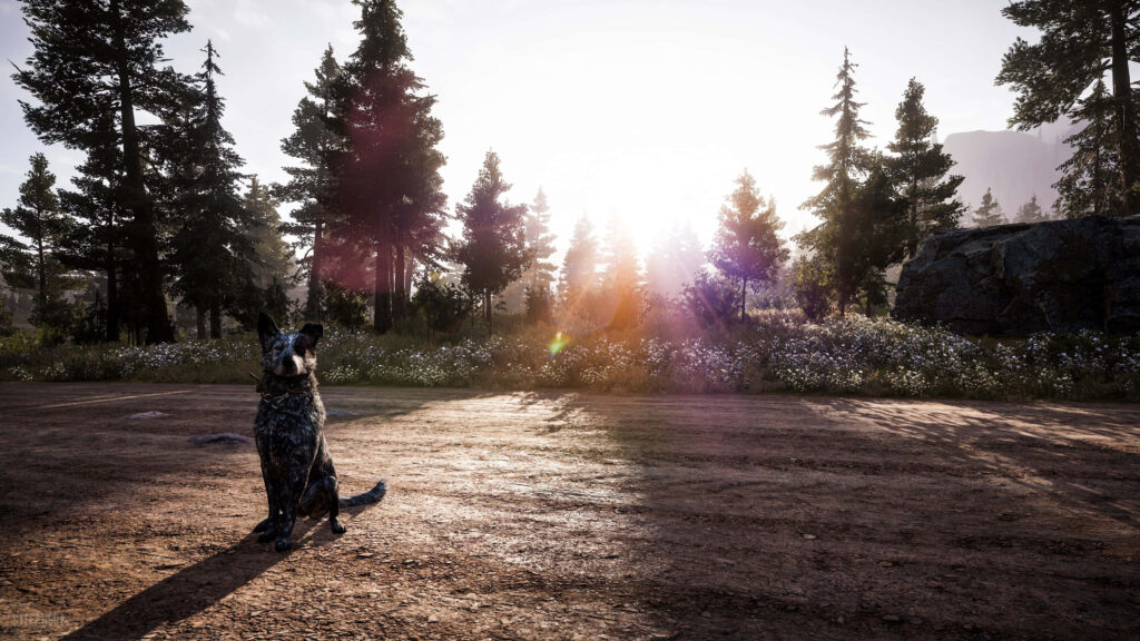 Far Cry 5's Stunning 4K Graphics: Majestic Dog amid Lush Forest Wallpaper