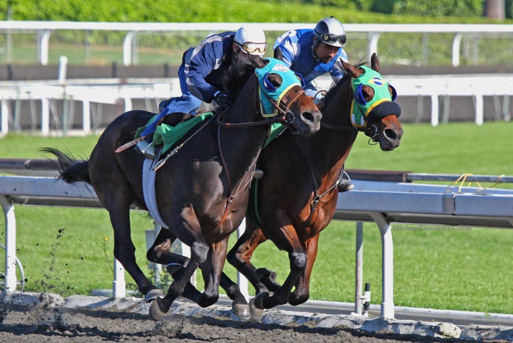 Two thoroughbreds with green blinkers sprint neck and neck in an intense horse race wallpaper