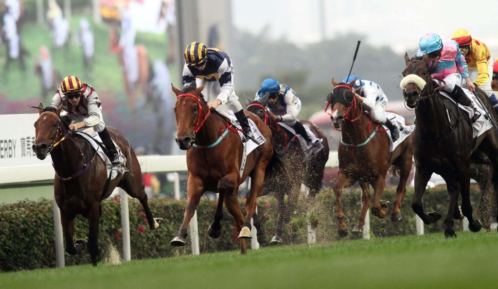 Jockeys racing Thoroughbreds at full gallop on dirt track bright daylight horse racing wallpaper
