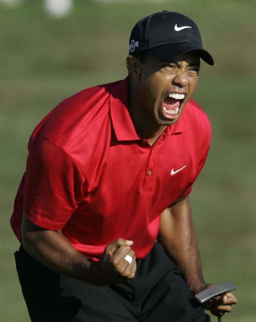 Tiger Woods fierce golf scream dynamic wallpaper showing passion and determination on course