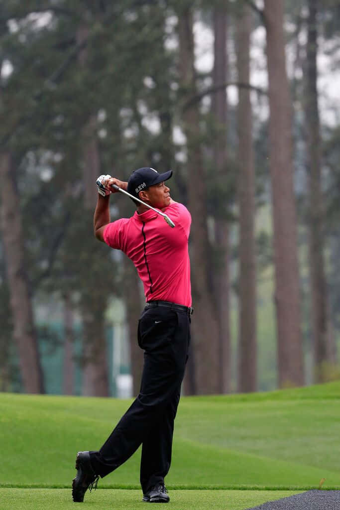 Tiger Woods mid-swing golf shot pink shirt black cap lush green course perfect wallpaper