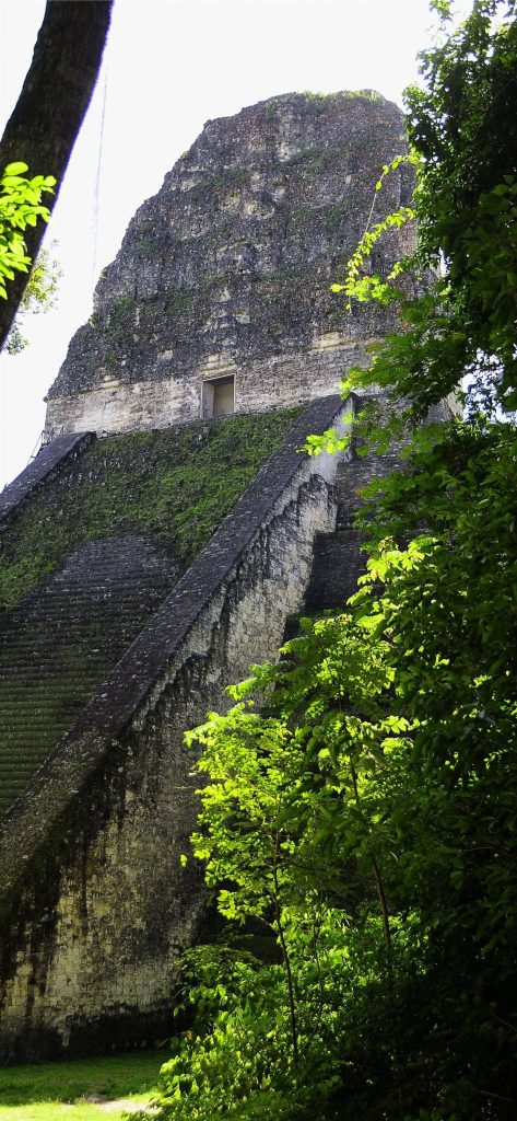 Tikal ancient Mayan pyramid in lush Guatemalan jungle sunlit vibrant green foliage wallpaper