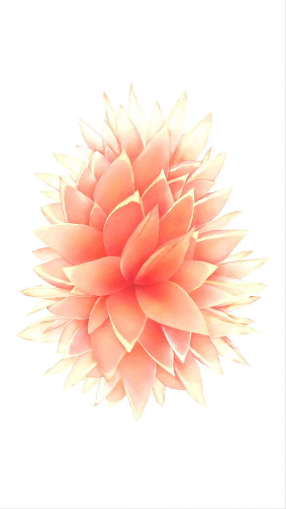 White and Orange Floral Wallpaper